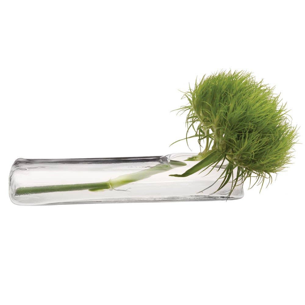 Clear Glass Bud Vase: Flat Glass