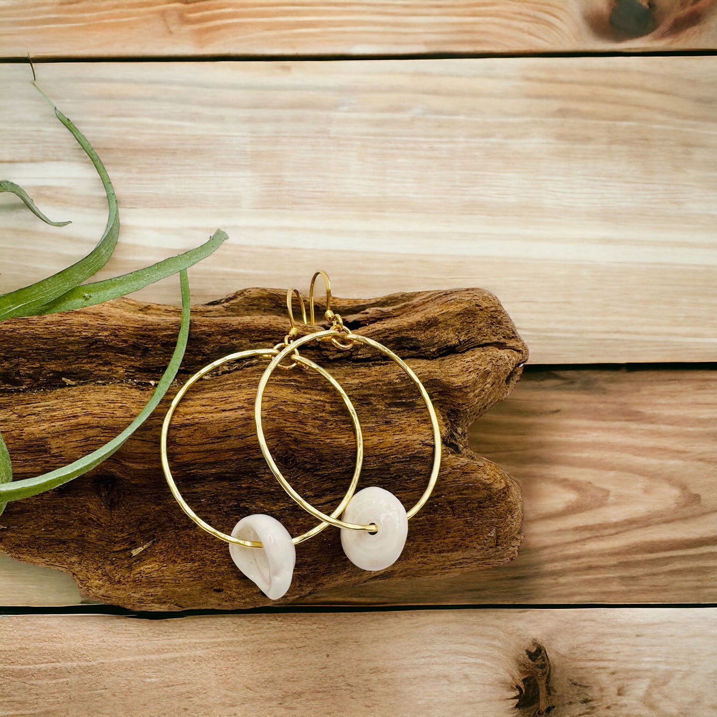 Puka Shell Hoop Earrings