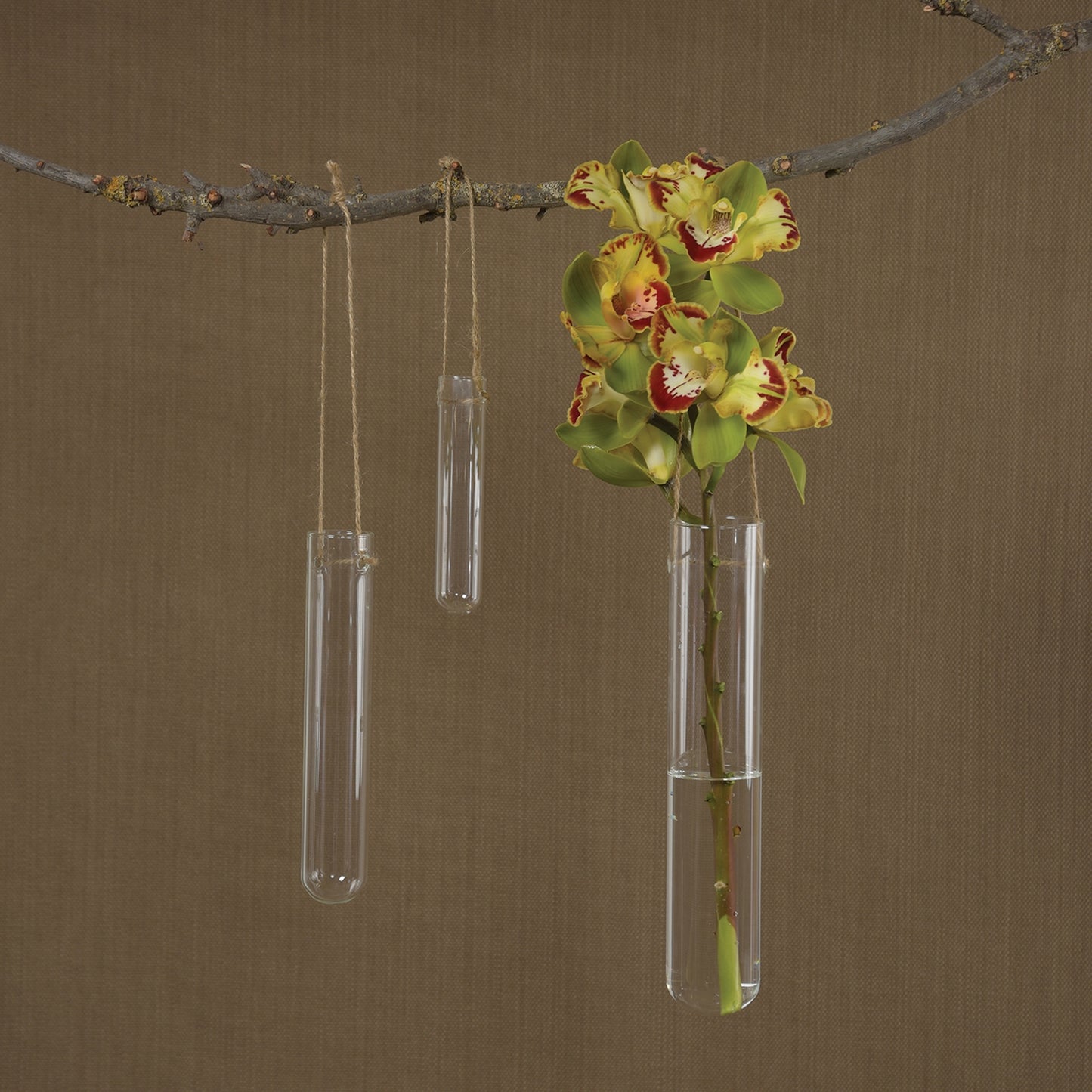Hanging Vase (Medium)