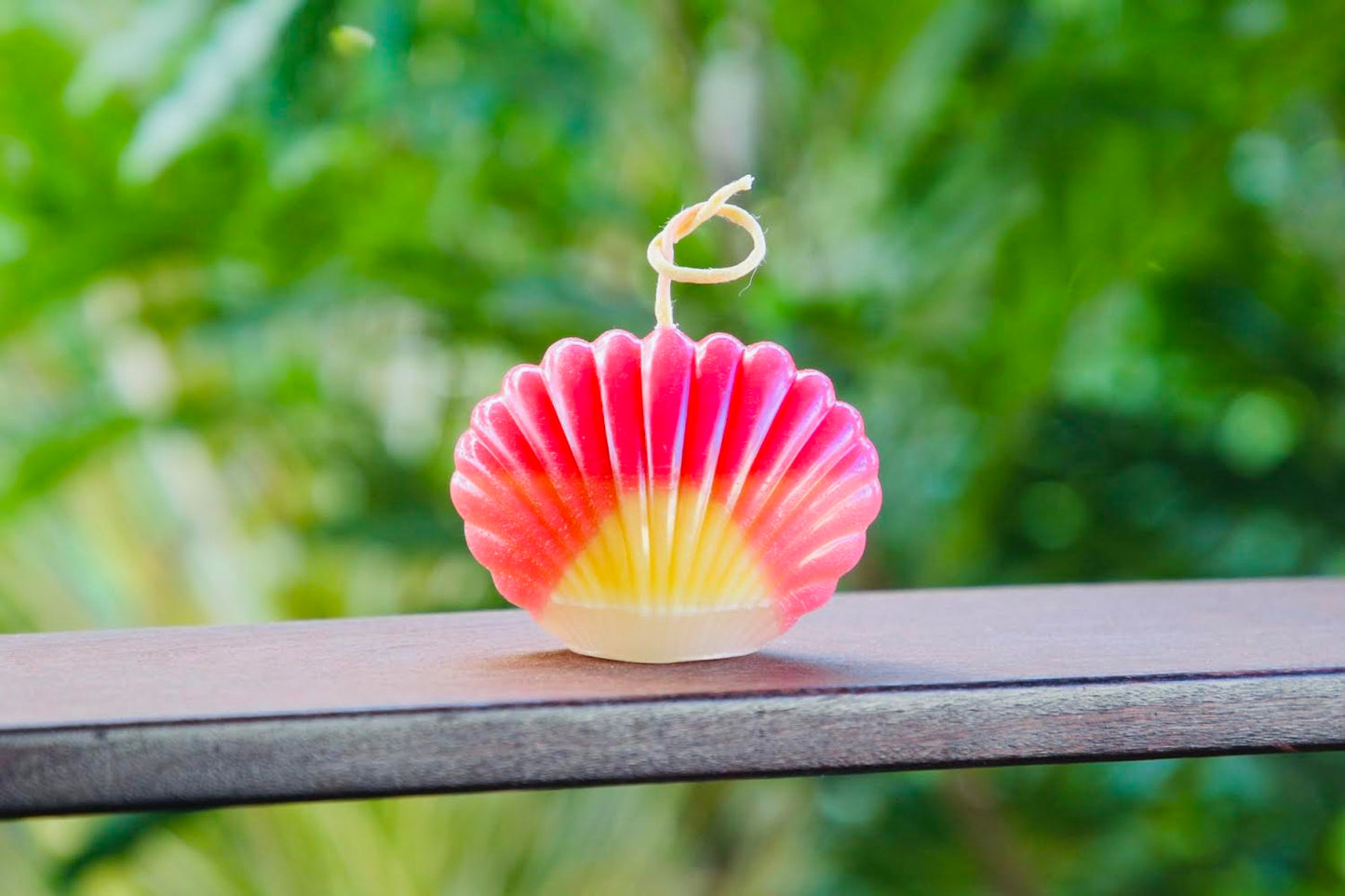 Sunrise Shell Candle