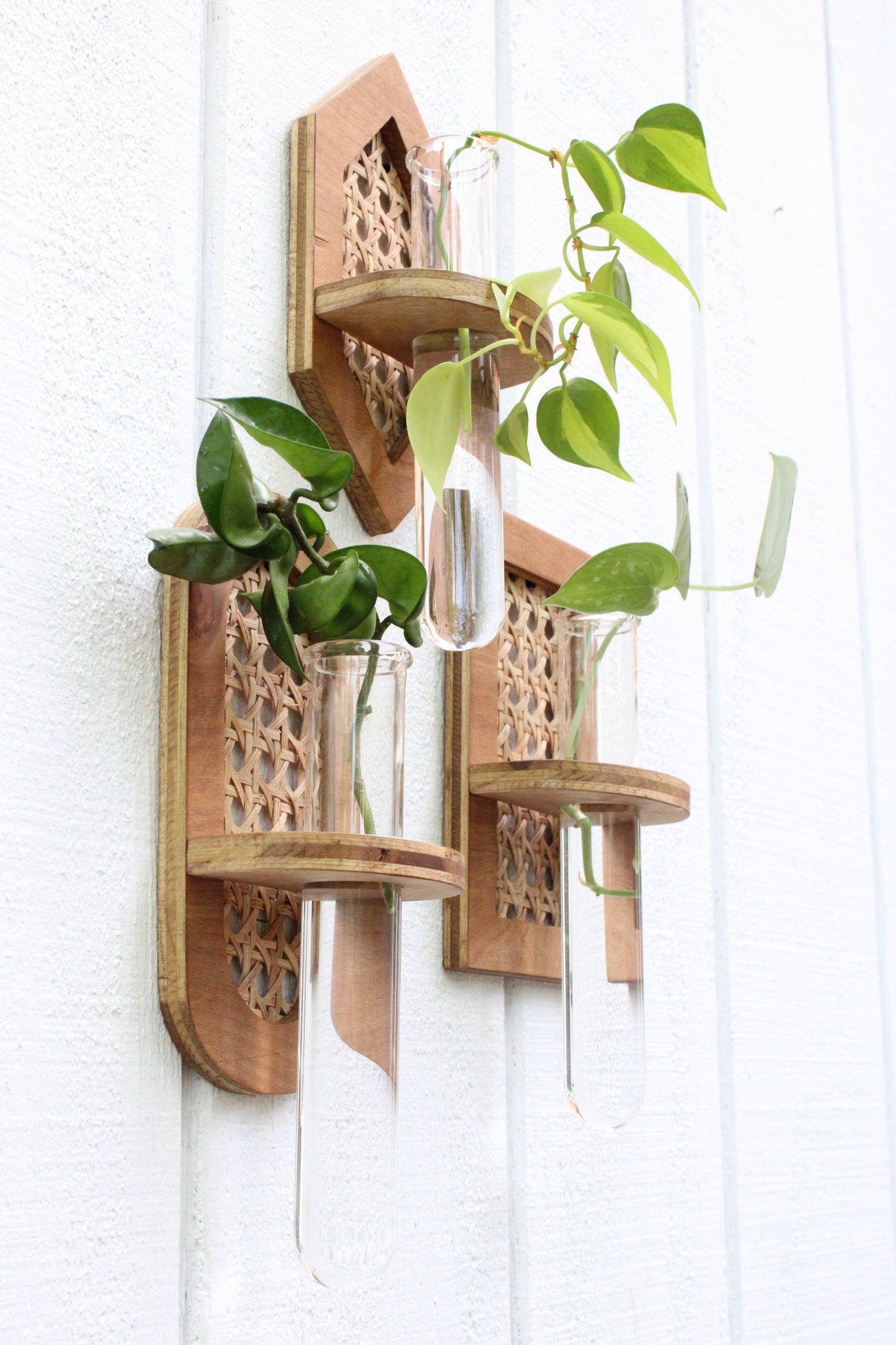 Oval Rattan Propagation Planter