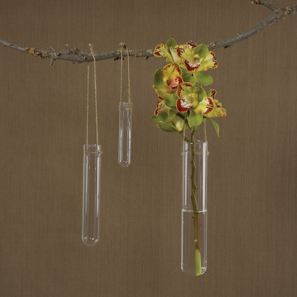 flower vase, hanging vase, hanging flower vase, springtime vase, home decor, homewares, glass, dorm room decor, living decor