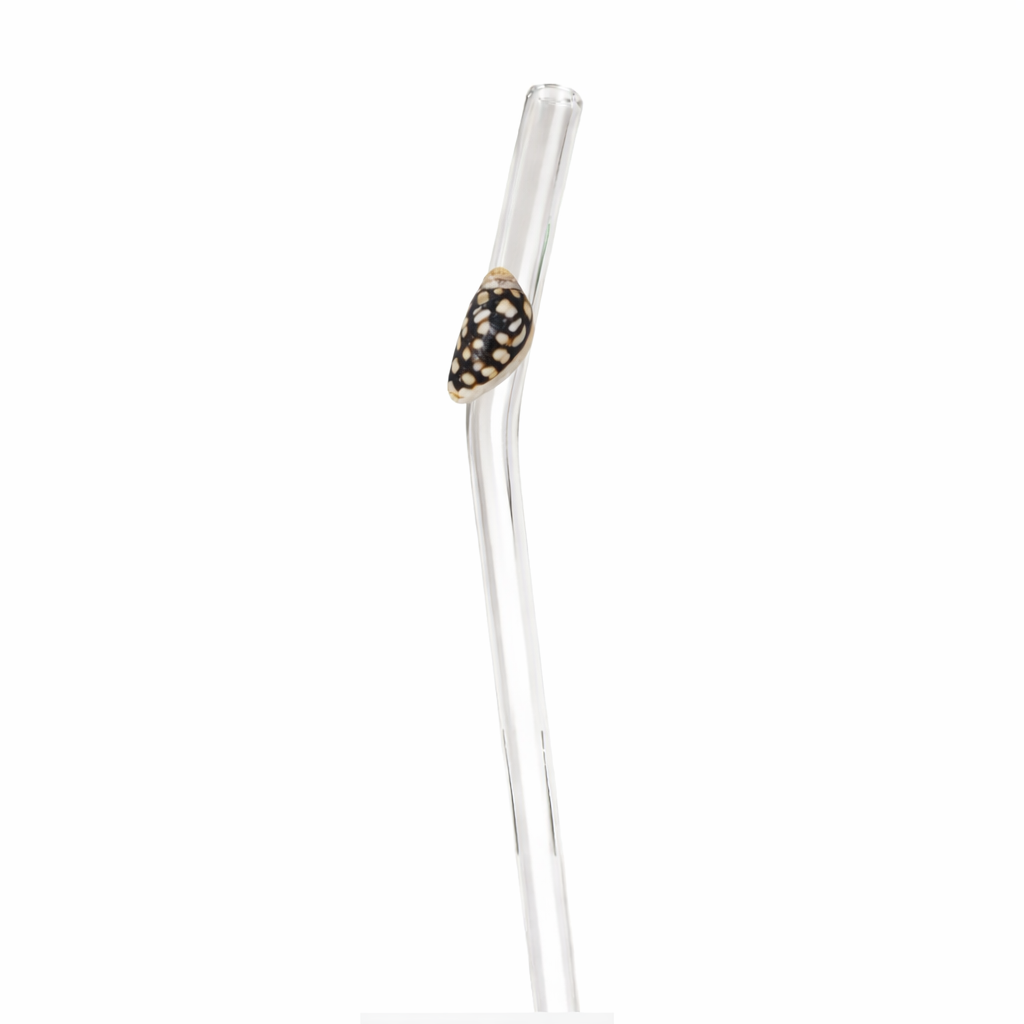 Shell Lovers Glass Straw Set