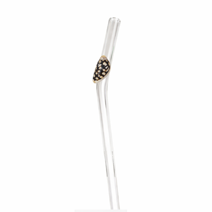 Shell Lovers Glass Straw Set