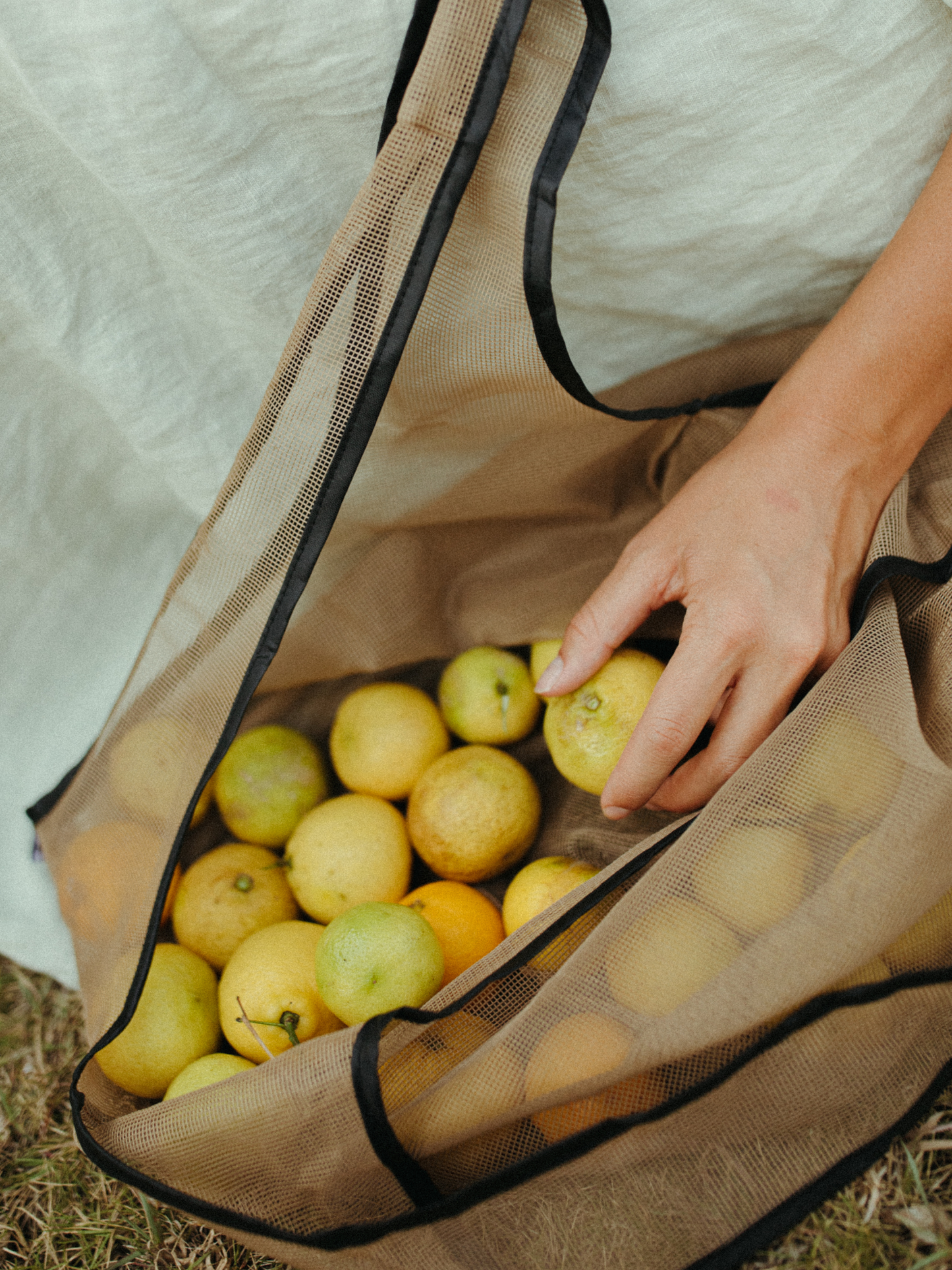 The Everyday Mesh Tote