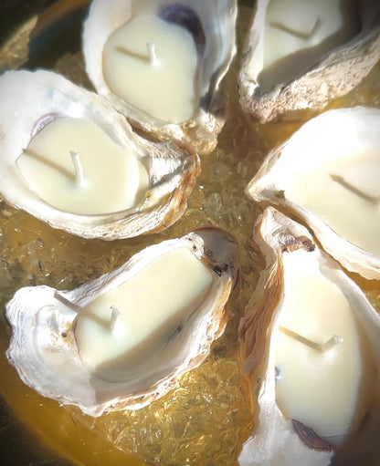 Oyster Candle