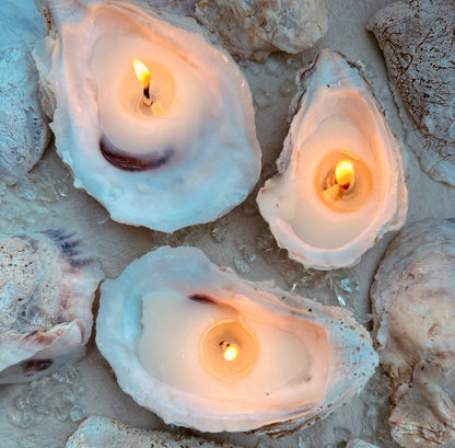 Oyster Candle