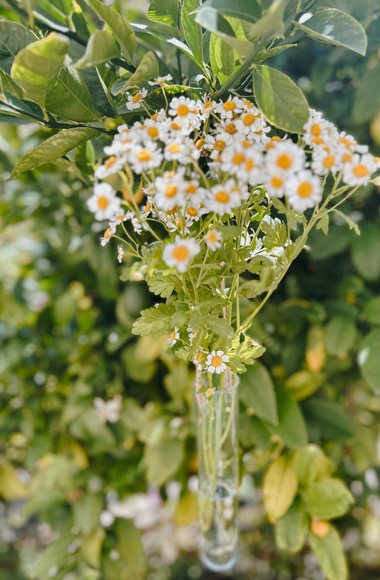 Hanging Vase (Medium)