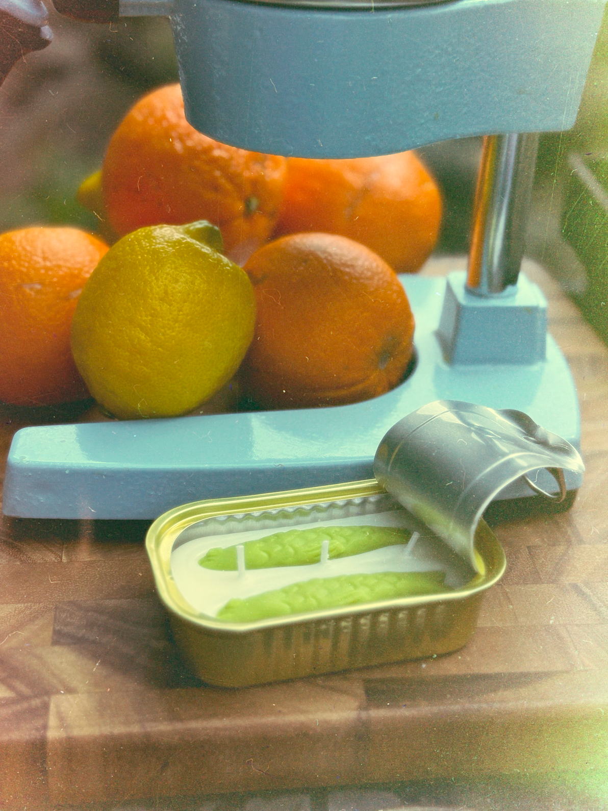 Catch of the Day — Citrus Nectar Candle